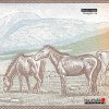Electric Indigo ‎| Mongolia Ep - Image 2