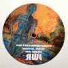 Reade Truth & Natasha Romanova ‎| Wonderful / Division