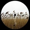 Strojche / Awol / Luke Hess / Deep'a & Biri | 10 Years Of Jaunt: Land
