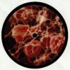Pathic | Rebirth EP
